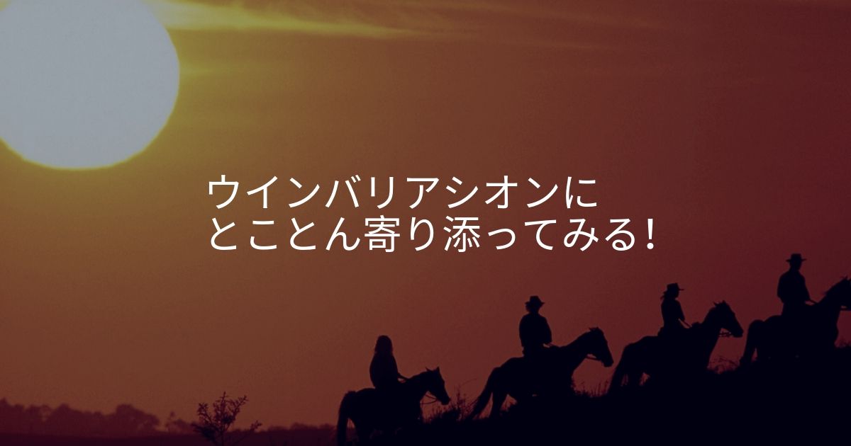 悲しき２番手 ウインバリアシオンにとことん寄り添ってみた やまろぐ